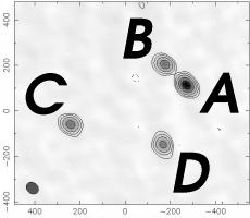 Images labelled as in Phillips et al.