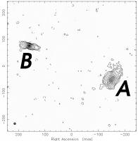 Images labelled as in Patnaik et al.