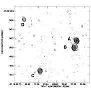 Images labelled as in N. Jackson et al. (1998)