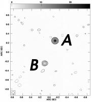 Images labelled as in Marlow et al.