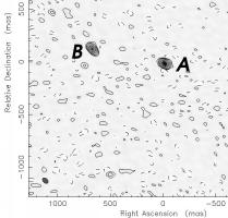 Images labelled as in Koopmans et al.