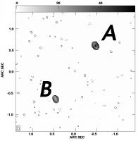 Images labelled as in Myers et al.