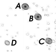 Images labelled as in Patnaik et al.