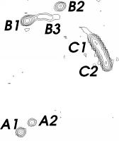 Components labelled as in King et al.