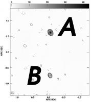 Components labelled as in Rusin et al.