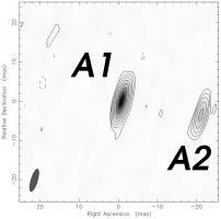 Components labelled as in Rusin et al.