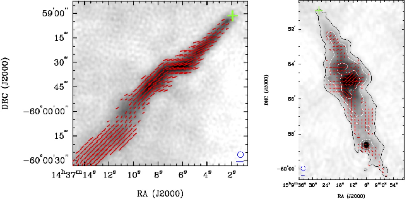 PWN Polarization
